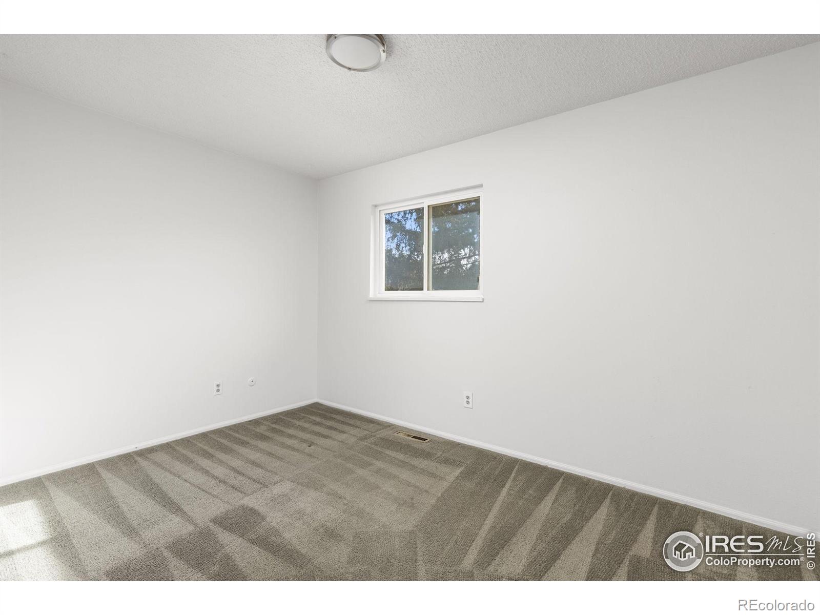MLS Image #17 for 6174  brigadoon court,longmont, Colorado