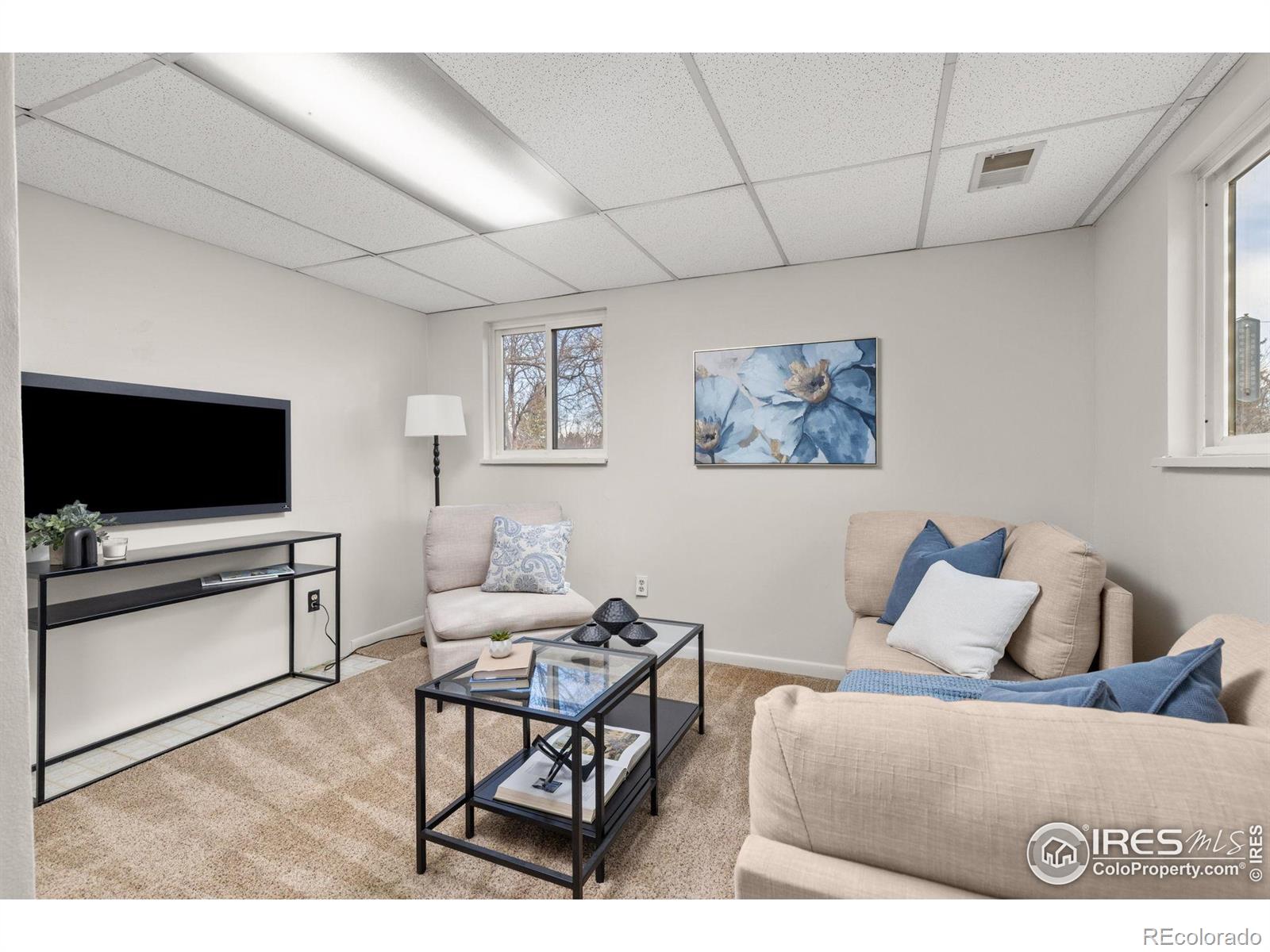 MLS Image #21 for 6174  brigadoon court,longmont, Colorado