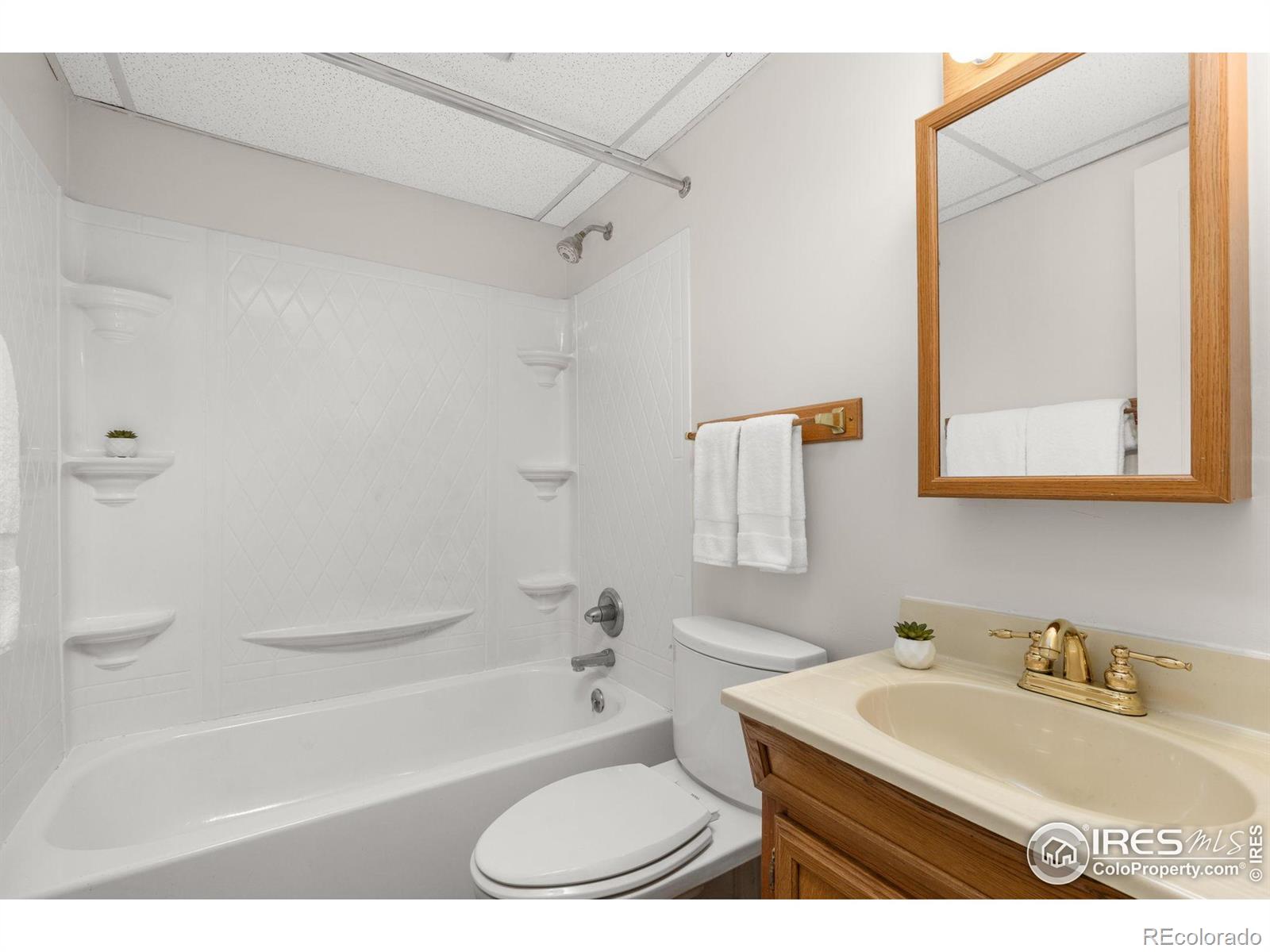 MLS Image #23 for 6174  brigadoon court,longmont, Colorado