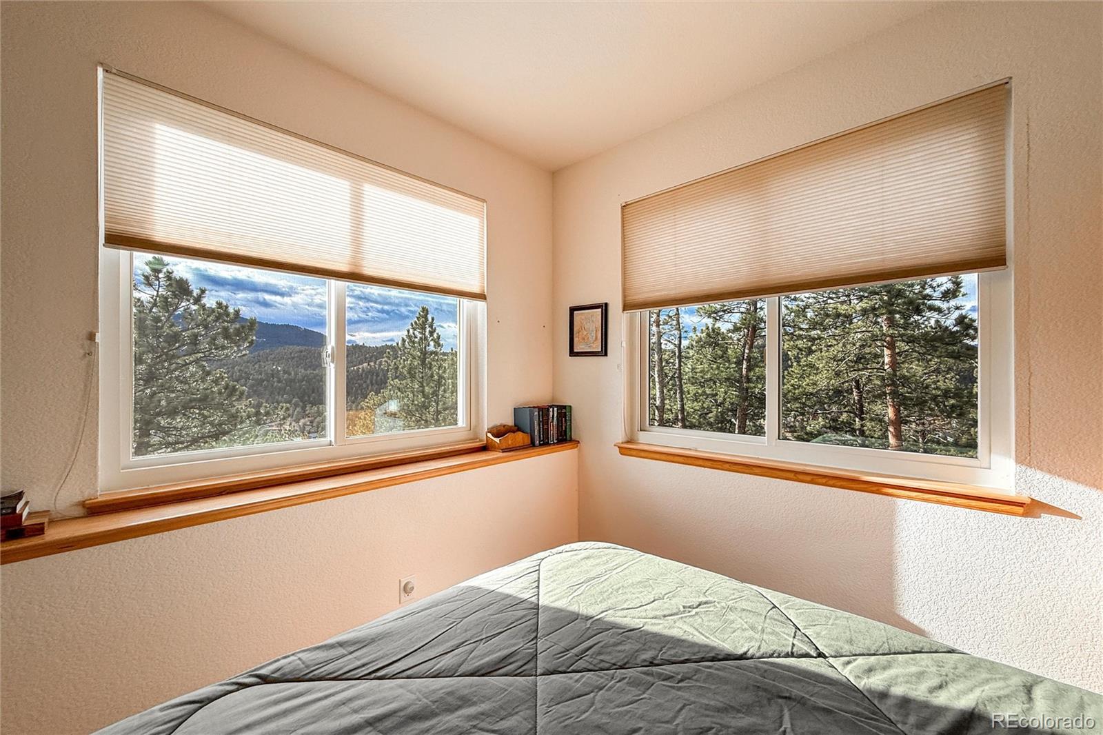 MLS Image #34 for 26436  sweetbriar trail,evergreen, Colorado