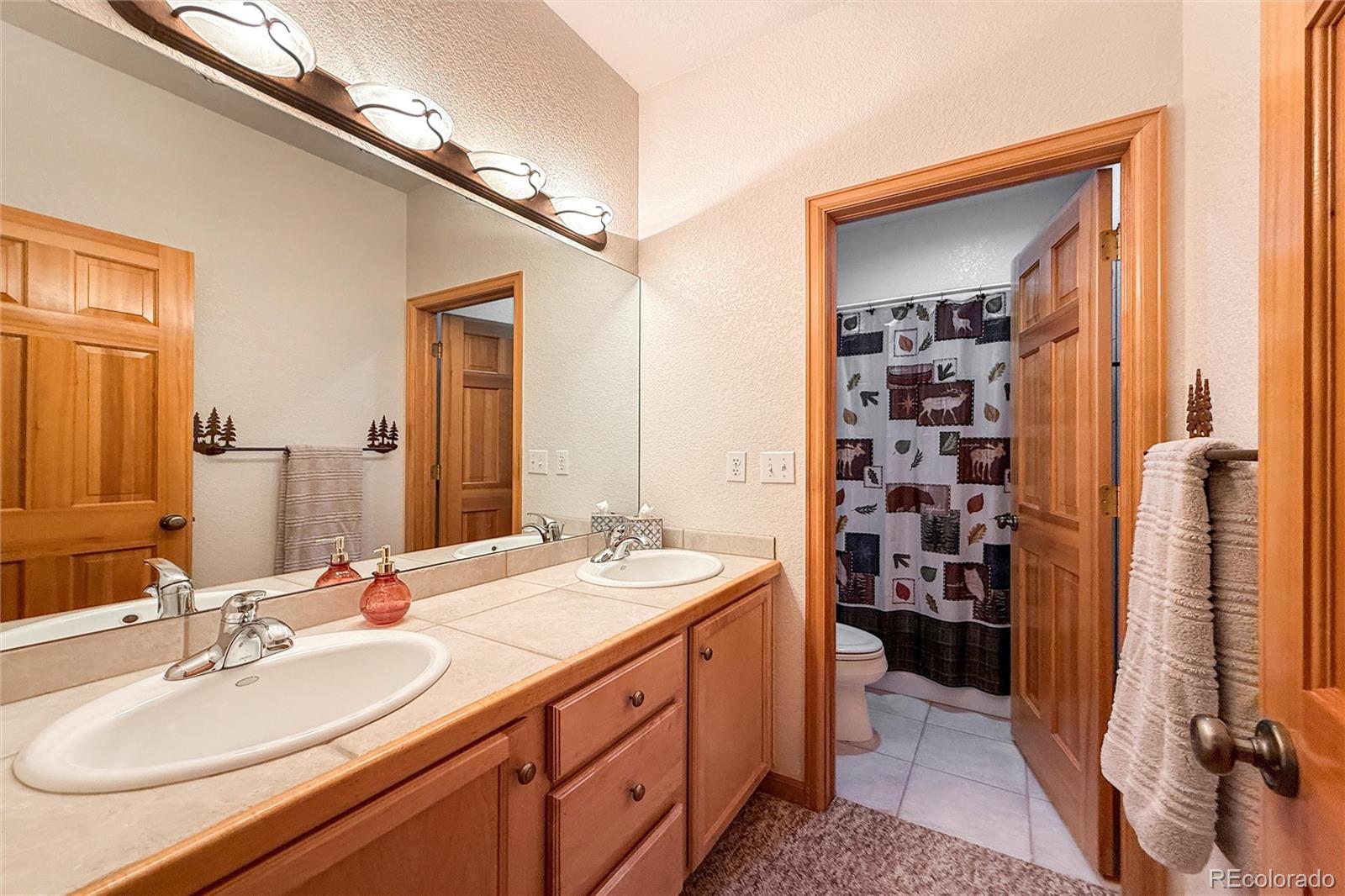 MLS Image #36 for 26436  sweetbriar trail,evergreen, Colorado