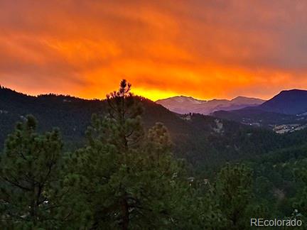 MLS Image #46 for 26436  sweetbriar trail,evergreen, Colorado