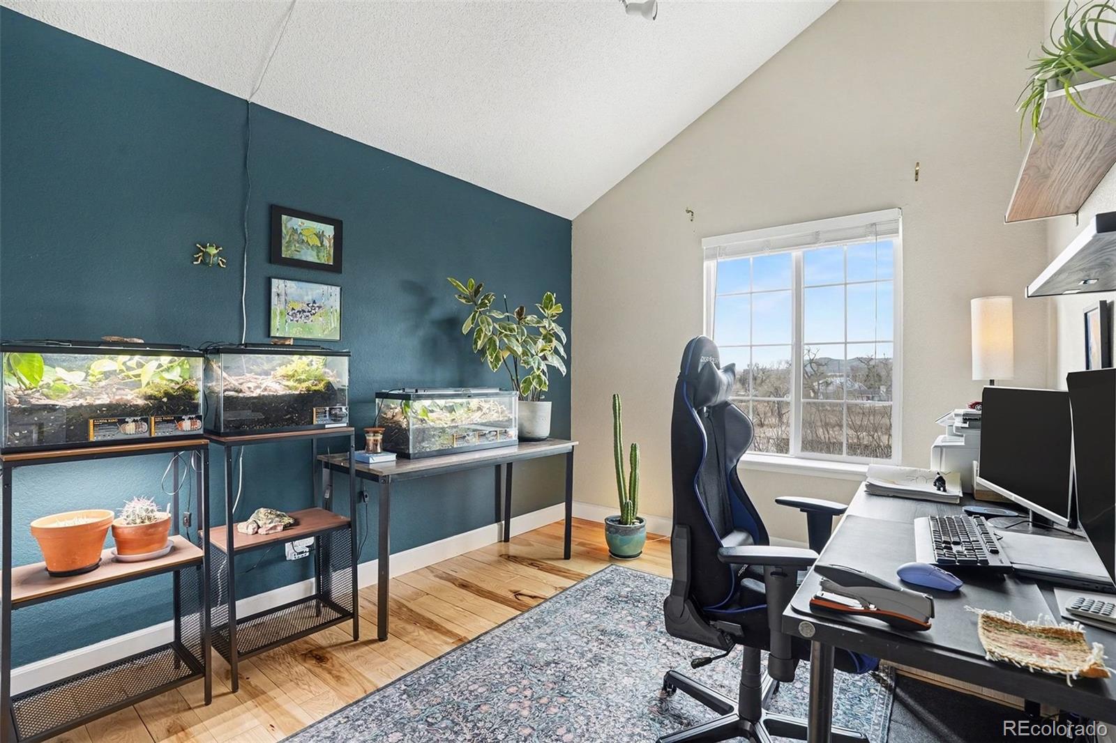 MLS Image #19 for 6313  marshall street,arvada, Colorado