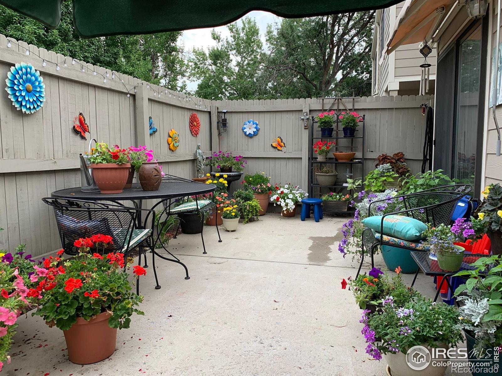 MLS Image #19 for 8741  yukon street ,arvada, Colorado