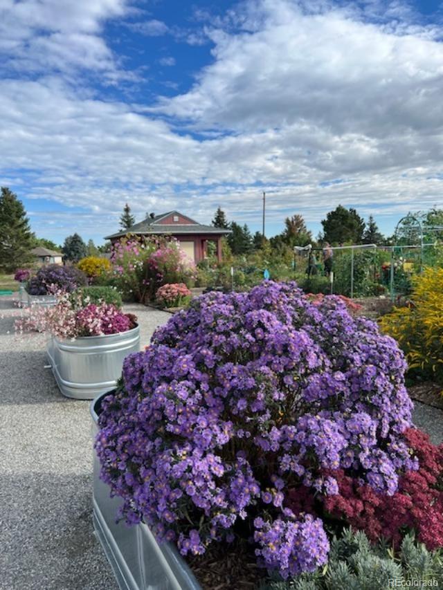 MLS Image #46 for 14280 w 83rd place a,arvada, Colorado