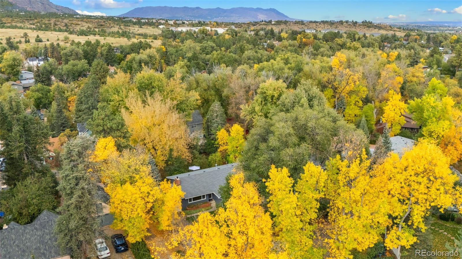 MLS Image #5 for 1404  winfield avenue,colorado springs, Colorado