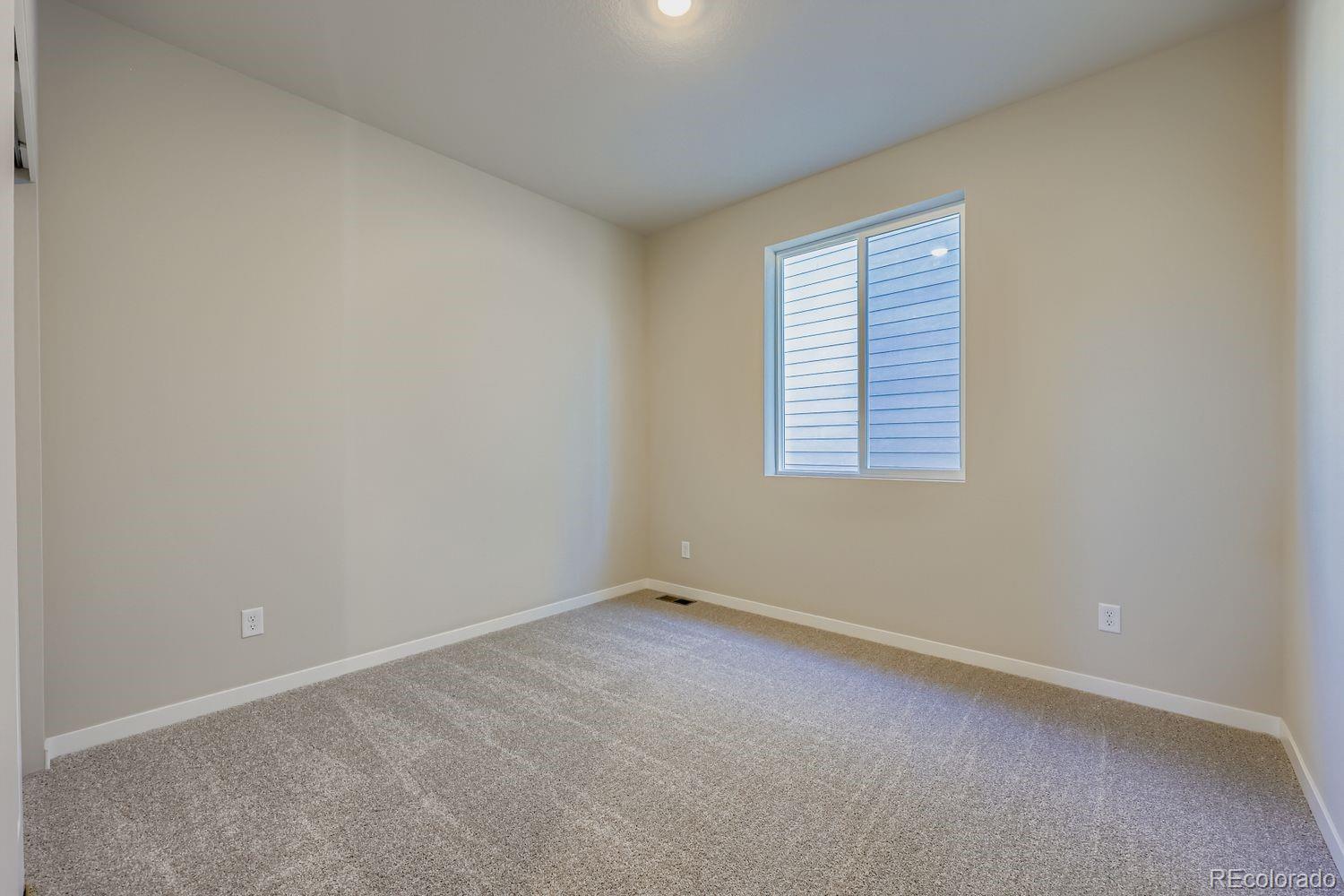 MLS Image #17 for 13776  daffodil way,parker, Colorado
