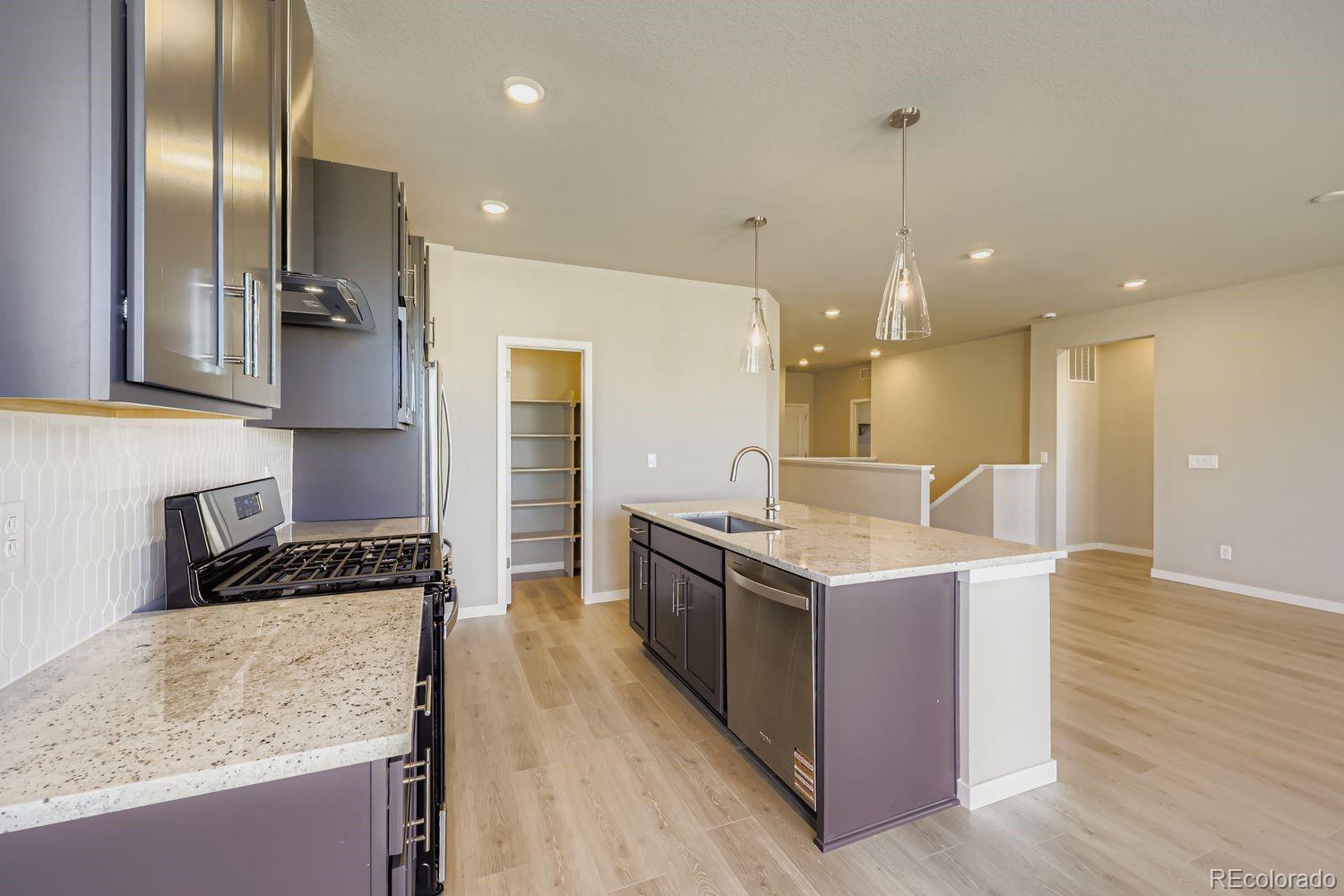 MLS Image #8 for 13776  daffodil way,parker, Colorado