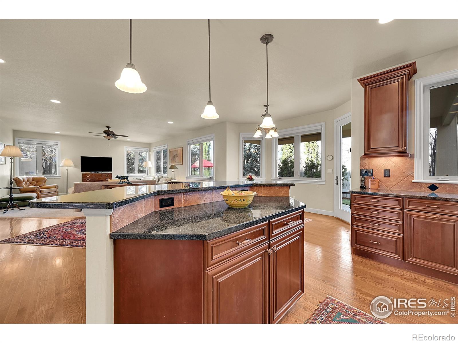 MLS Image #12 for 2003  braeburn court,longmont, Colorado