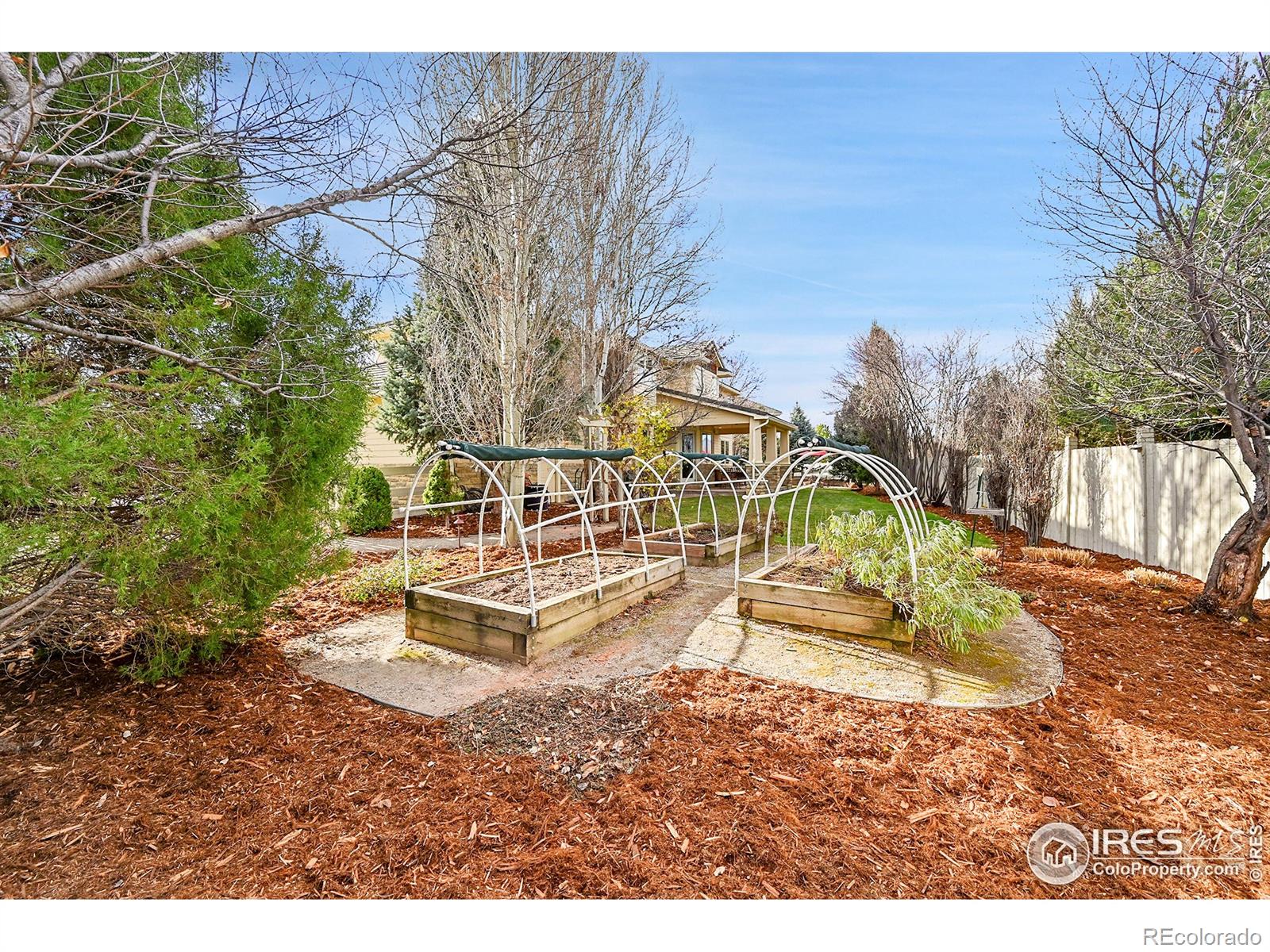 MLS Image #38 for 2003  braeburn court,longmont, Colorado