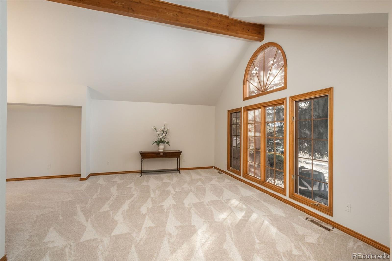 MLS Image #9 for 5537 e links circle,centennial, Colorado