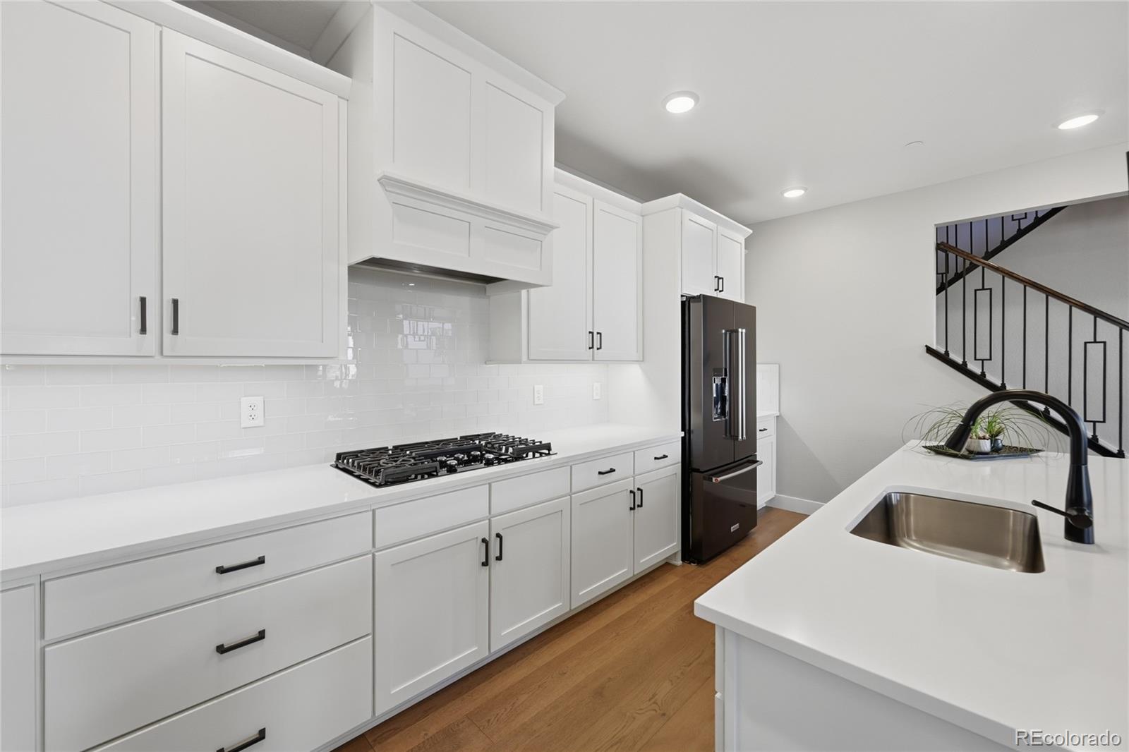 MLS Image #20 for 7039  homeplace street,castle rock, Colorado