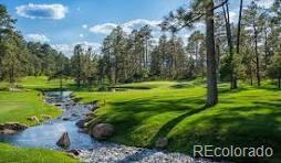 MLS Image #6 for 7039  homeplace street,castle rock, Colorado