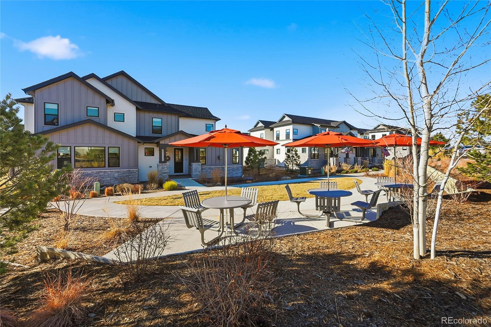 MLS Image #8 for 7039  homeplace street,castle rock, Colorado