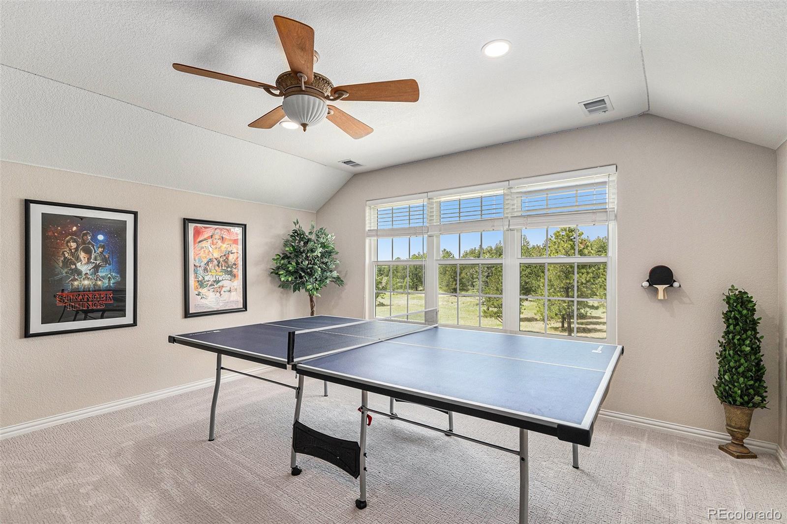 MLS Image #28 for 10400  pine valley drive,franktown, Colorado