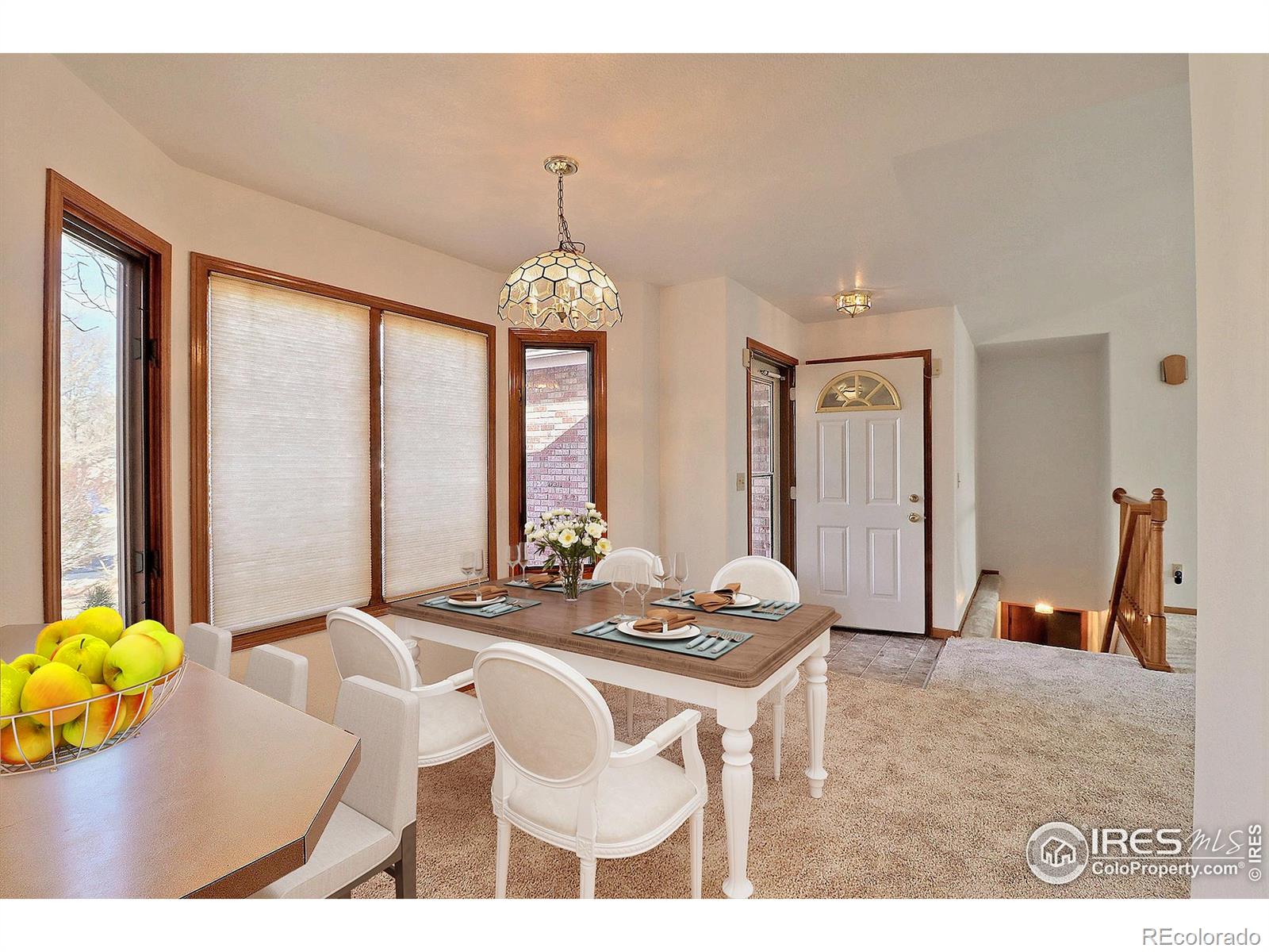 MLS Image #10 for 1178  patricia drive,loveland, Colorado