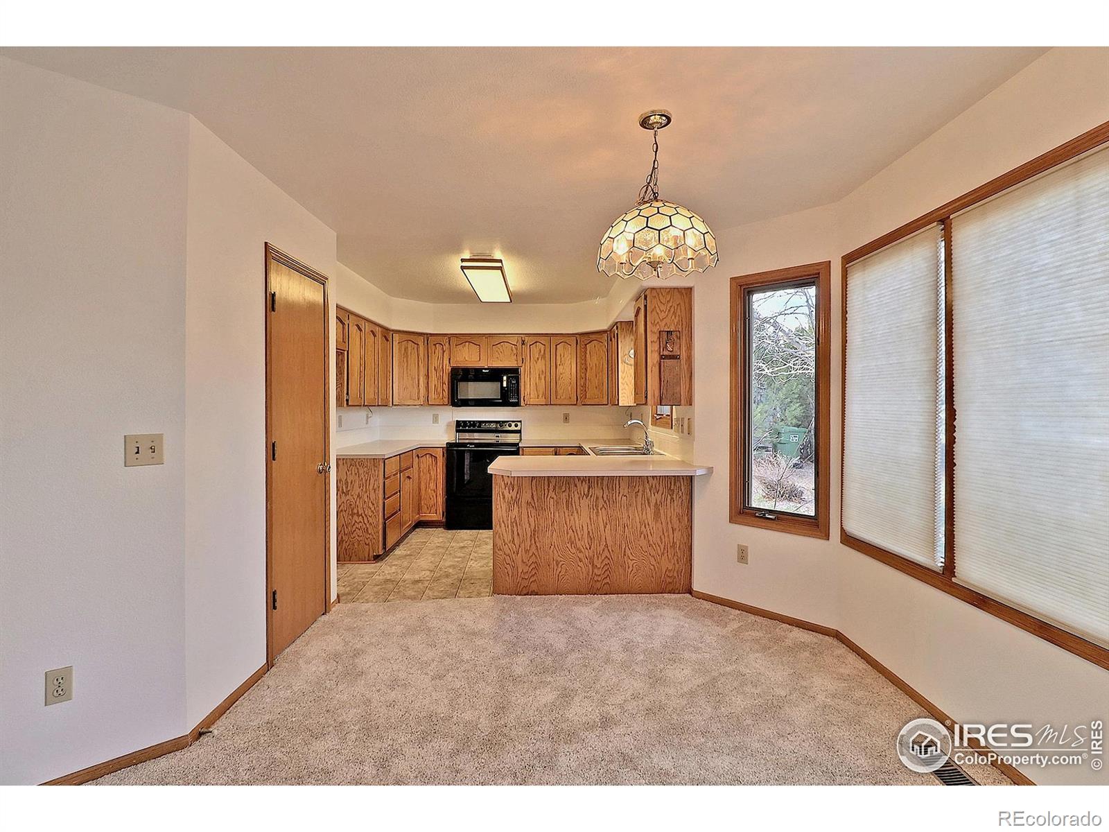 MLS Image #11 for 1178  patricia drive,loveland, Colorado