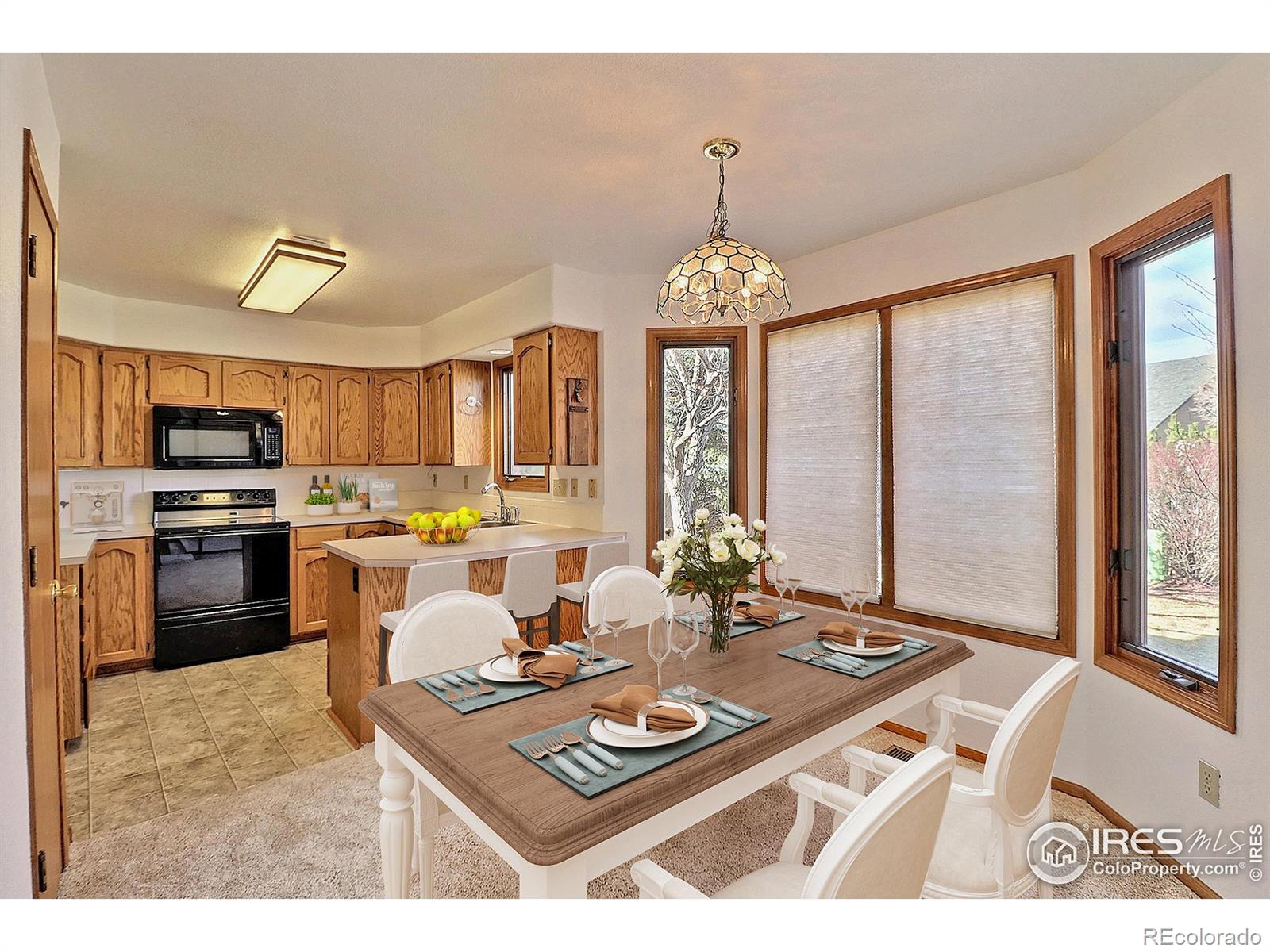 MLS Image #9 for 1178  patricia drive,loveland, Colorado