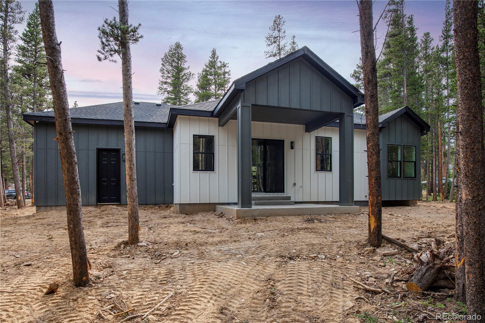 MLS Image #12 for 146  elk road,idaho springs, Colorado