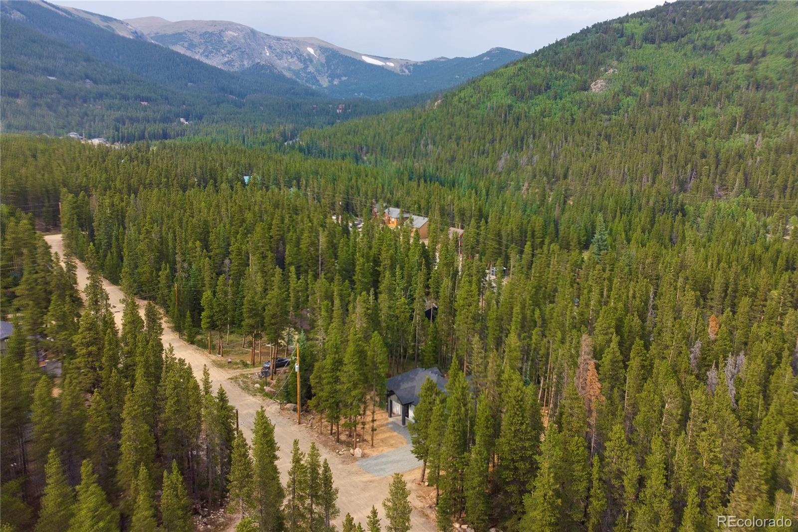 MLS Image #14 for 146  elk road,idaho springs, Colorado