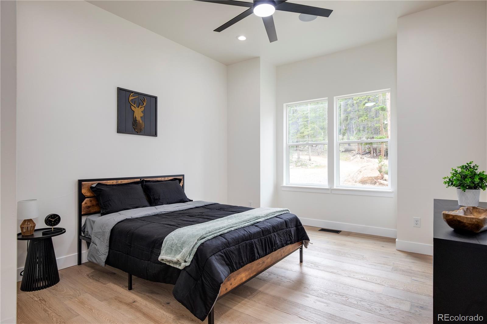 MLS Image #7 for 146  elk road,idaho springs, Colorado