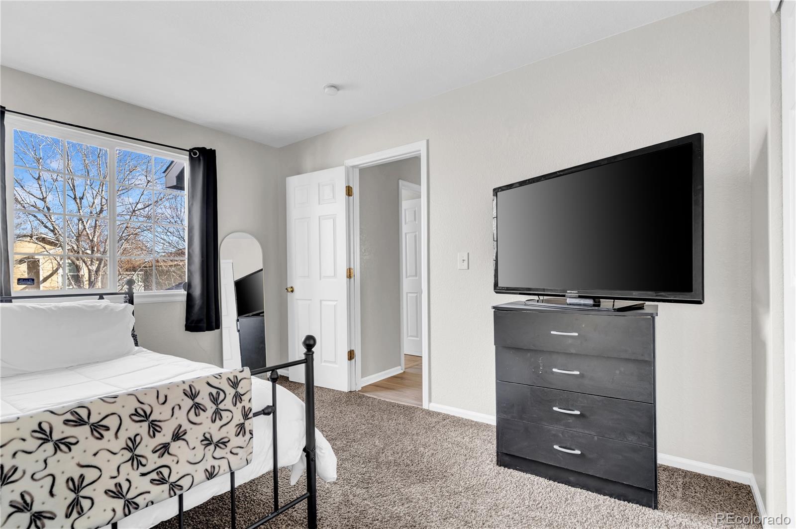 MLS Image #18 for 10115  forest court,thornton, Colorado