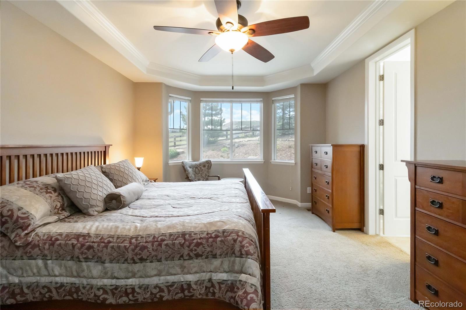 MLS Image #20 for 2724  rising moon way,castle rock, Colorado