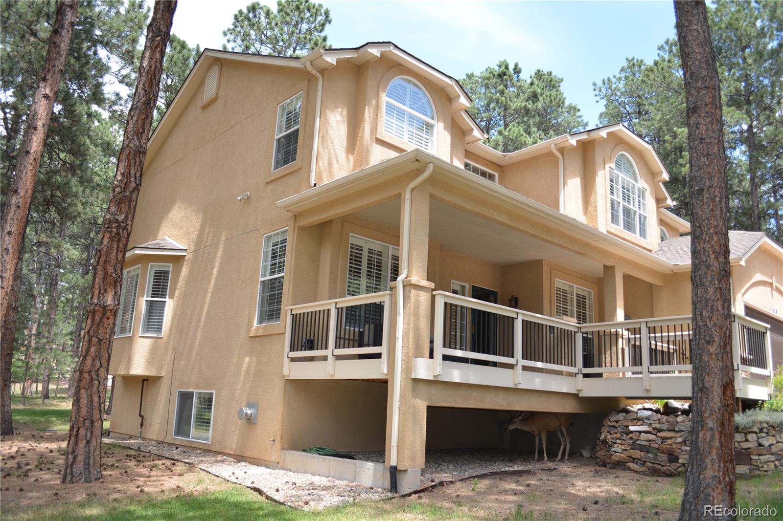 MLS Image #49 for 1530  woodrose court,colorado springs, Colorado