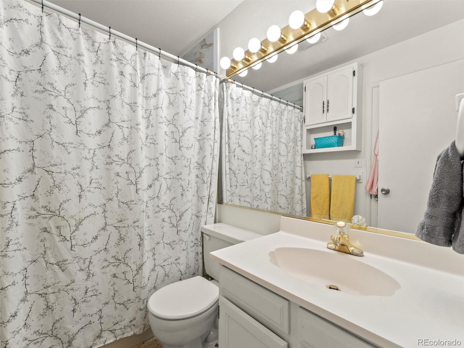 MLS Image #11 for 350 s 25th avenue,brighton, Colorado