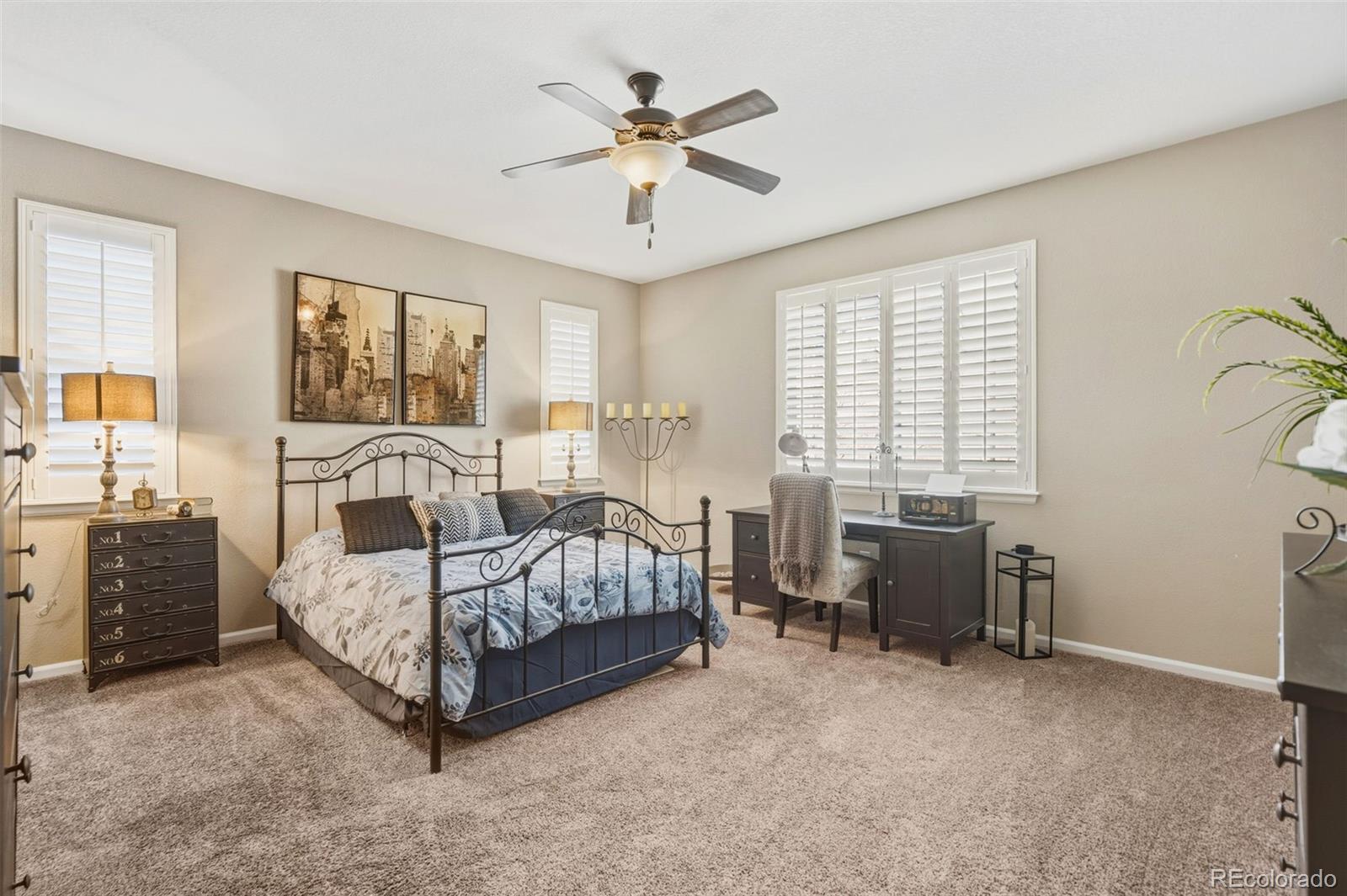 MLS Image #12 for 6333  agave avenue,castle rock, Colorado
