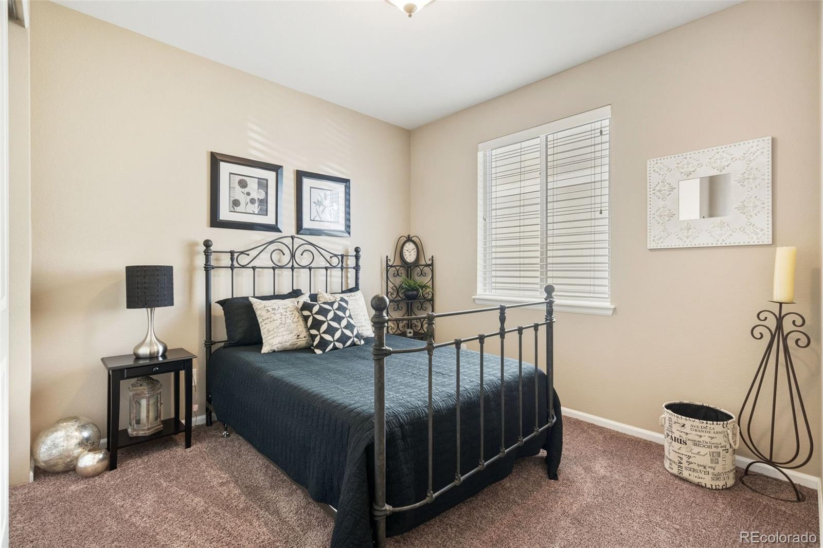 MLS Image #17 for 6333  agave avenue,castle rock, Colorado