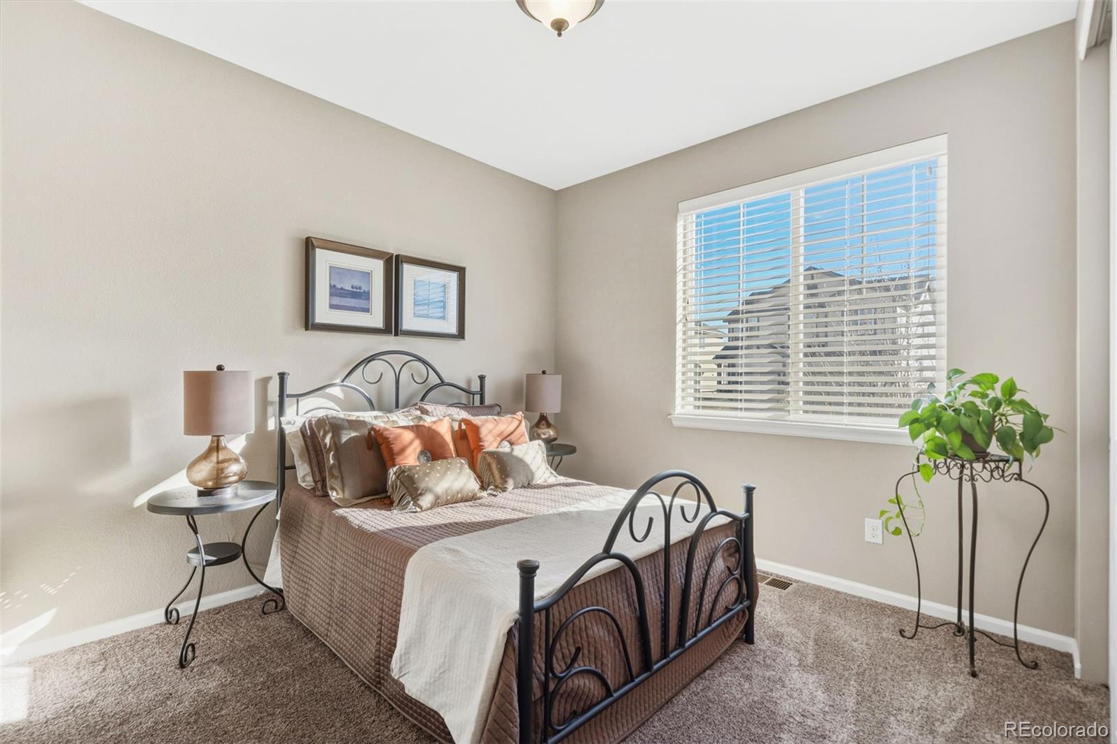 MLS Image #19 for 6333  agave avenue,castle rock, Colorado