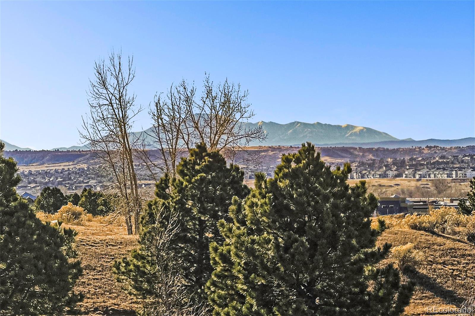 MLS Image #2 for 12665 s robinson ranch court,parker, Colorado