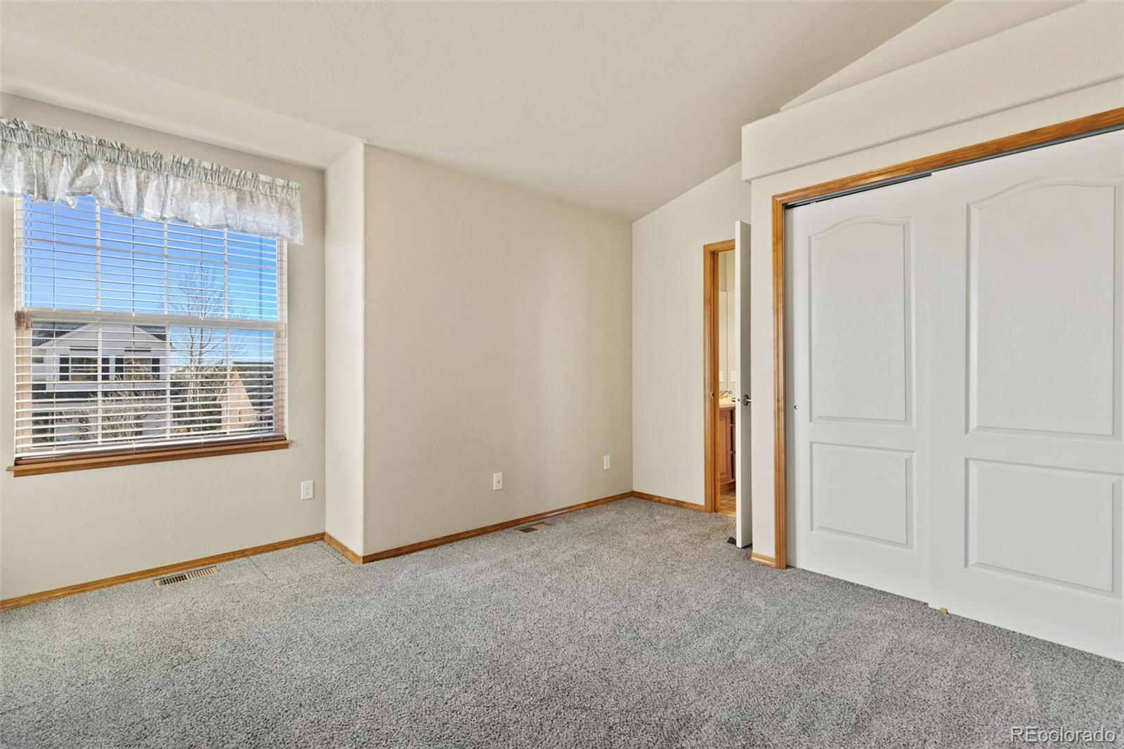 MLS Image #21 for 8746  country creek trail,colorado springs, Colorado