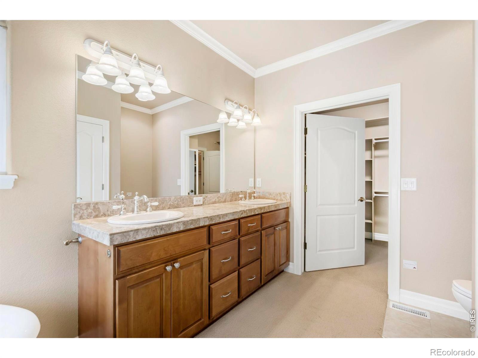 MLS Image #20 for 975  norway maple drive,loveland, Colorado