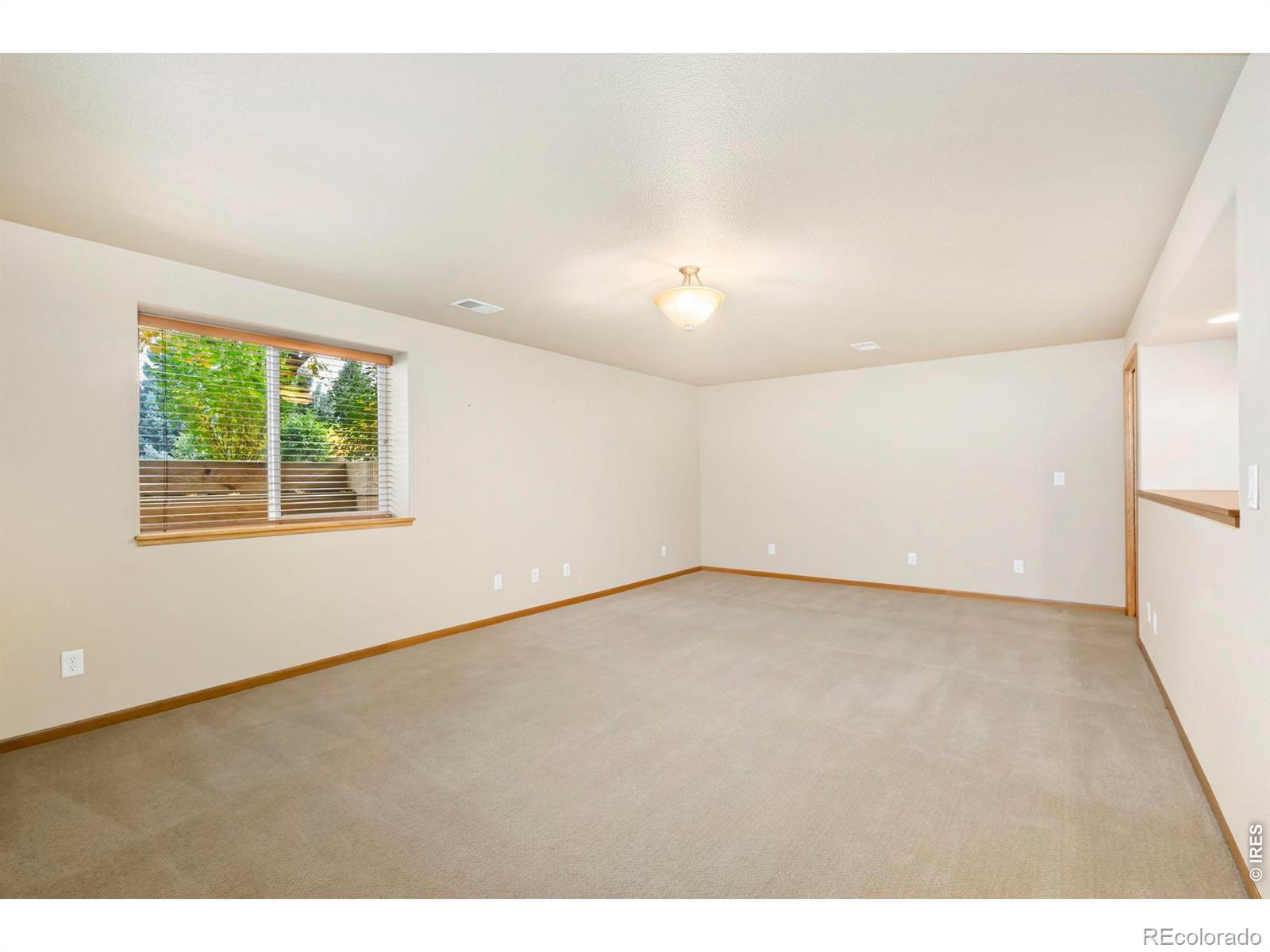 MLS Image #28 for 975  norway maple drive,loveland, Colorado