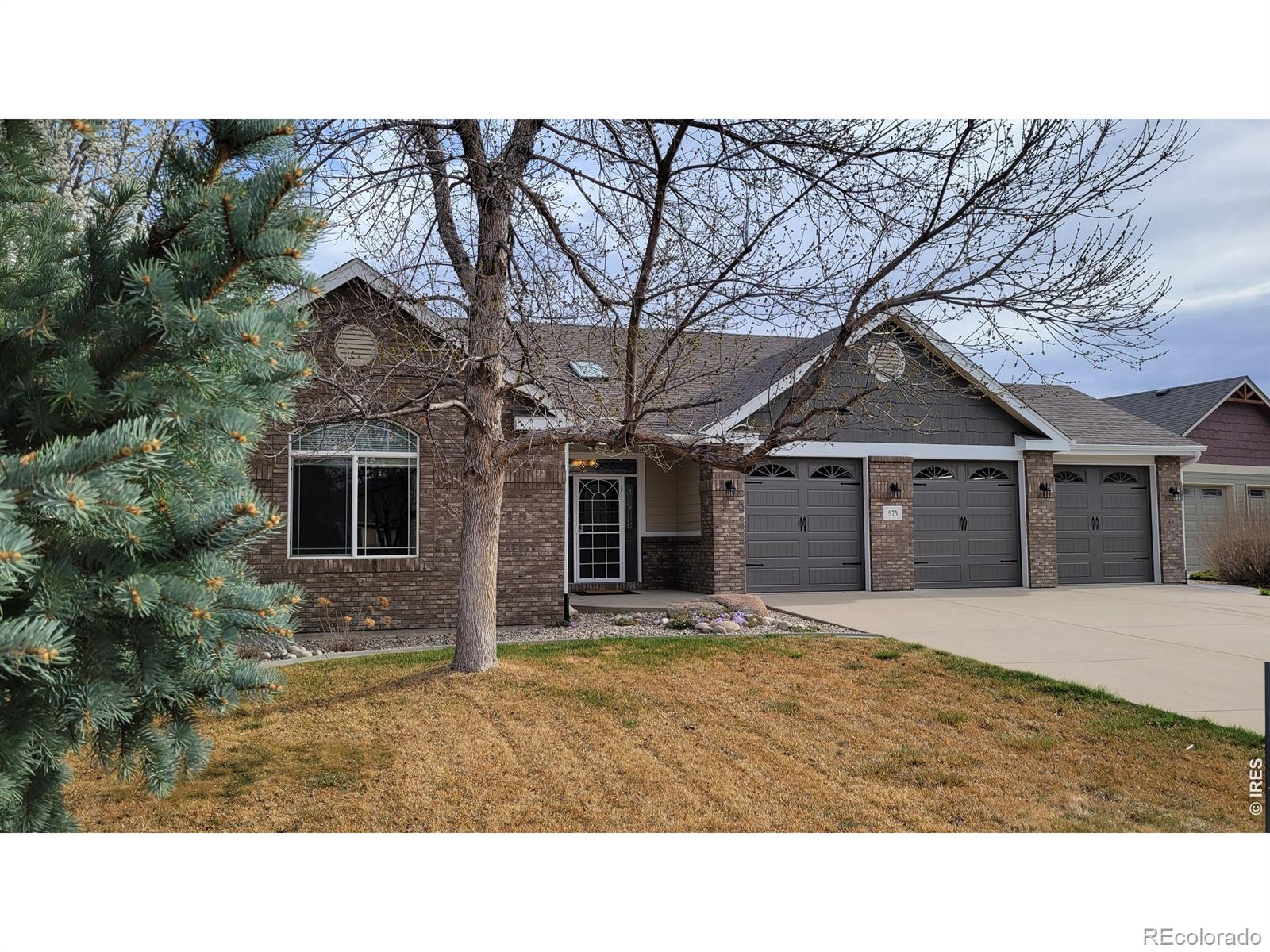 MLS Image #47 for 975  norway maple drive,loveland, Colorado