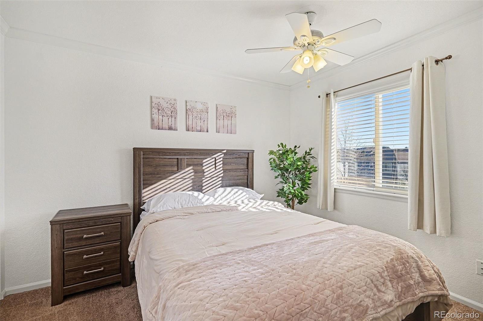 MLS Image #18 for 4764  waldenwood drive,highlands ranch, Colorado