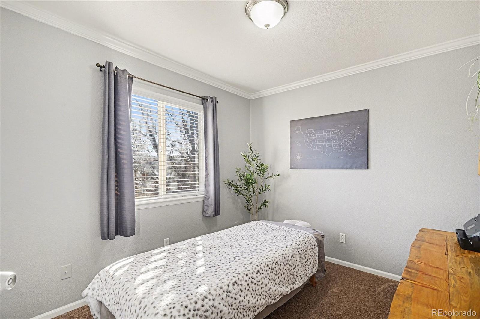 MLS Image #19 for 4764  waldenwood drive,highlands ranch, Colorado