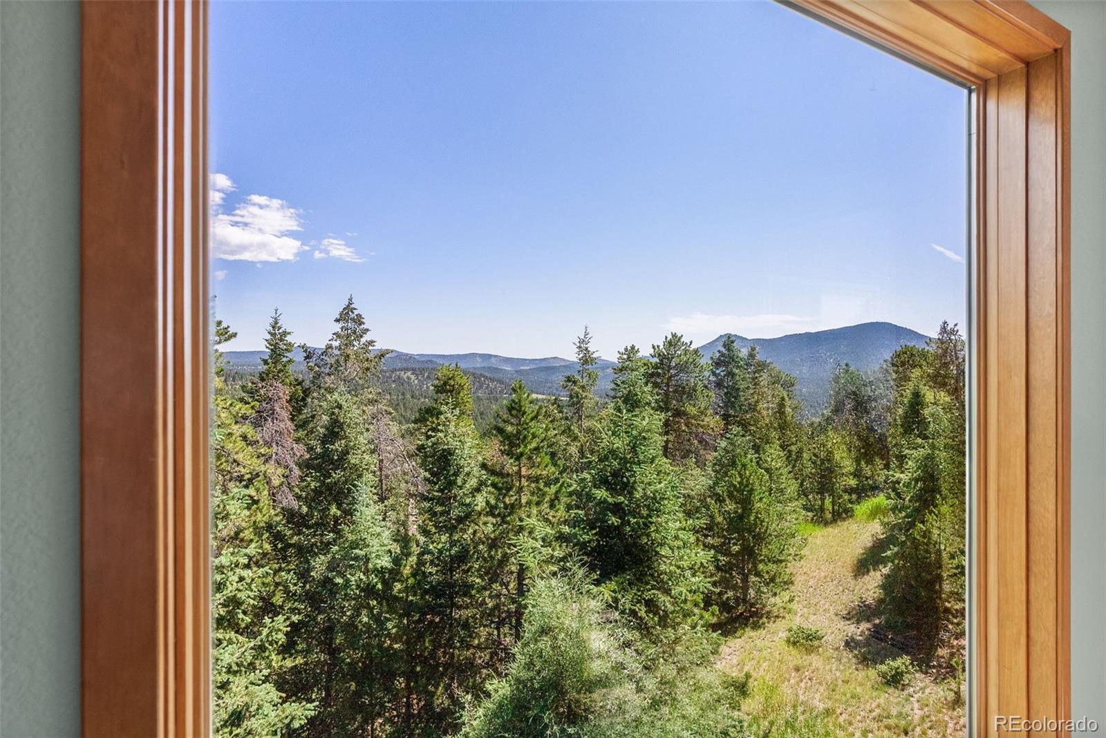 MLS Image #13 for 5378  evergreen heights drive,evergreen, Colorado