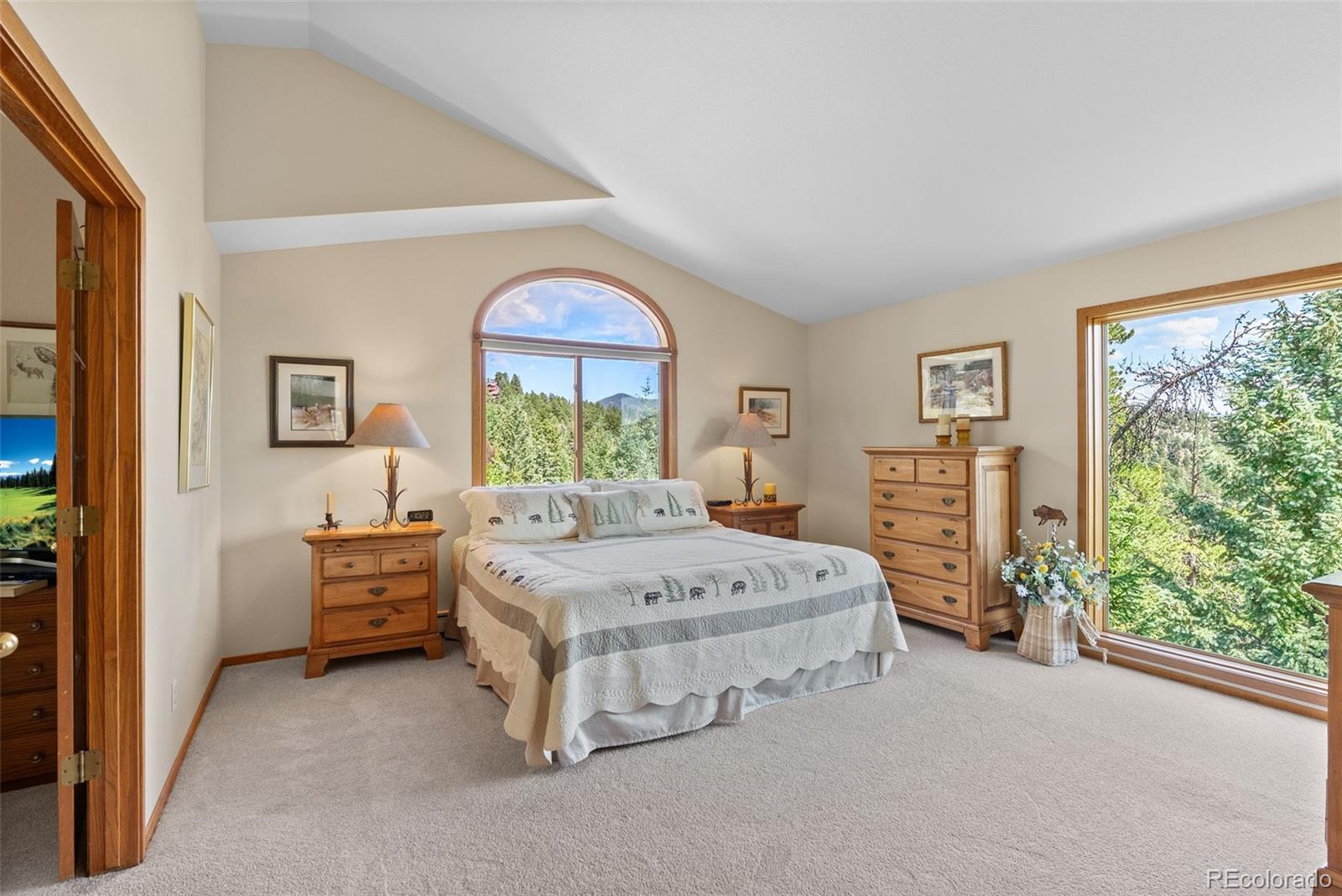 MLS Image #19 for 5378  evergreen heights drive,evergreen, Colorado
