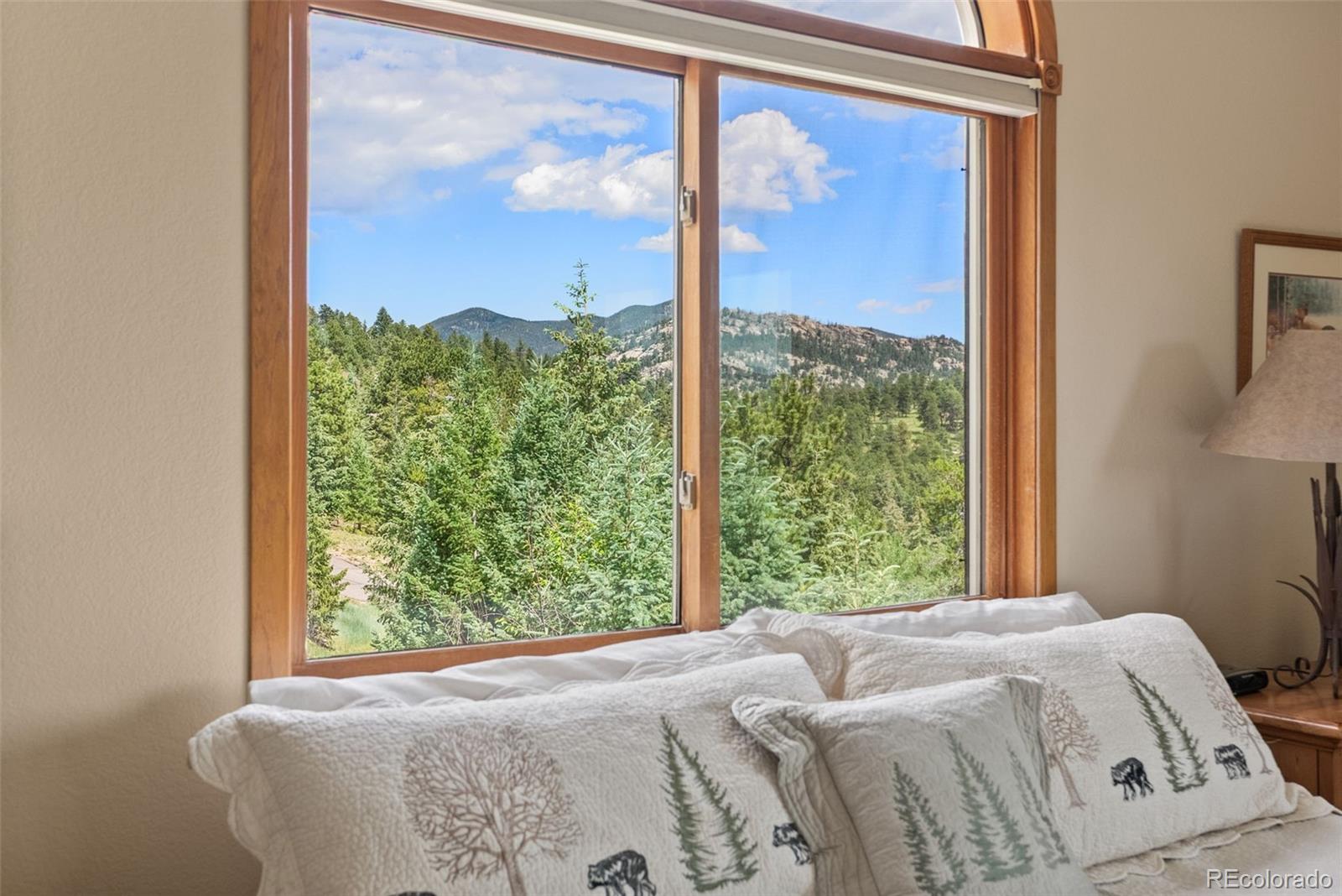 MLS Image #21 for 5378  evergreen heights drive,evergreen, Colorado