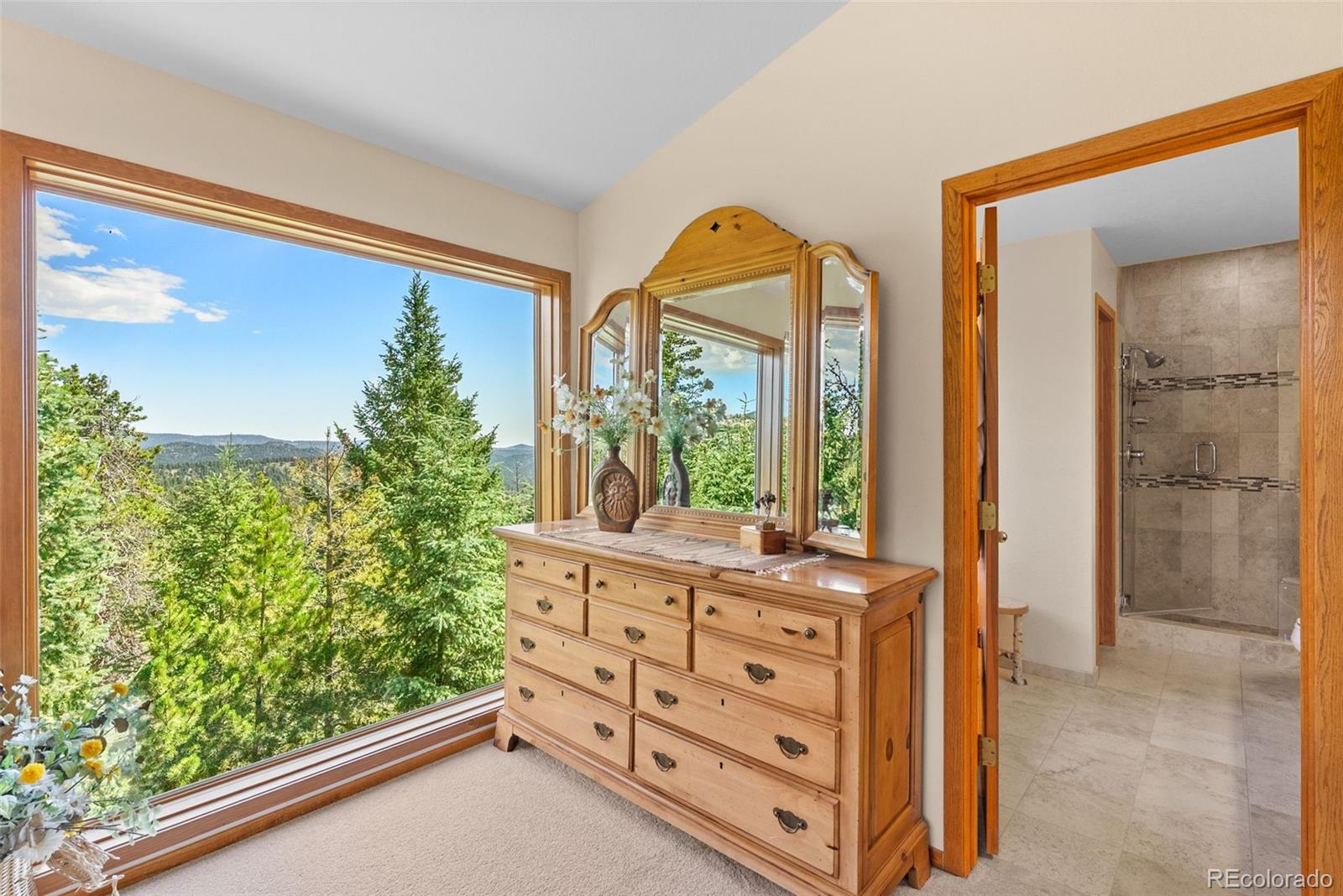 MLS Image #22 for 5378  evergreen heights drive,evergreen, Colorado