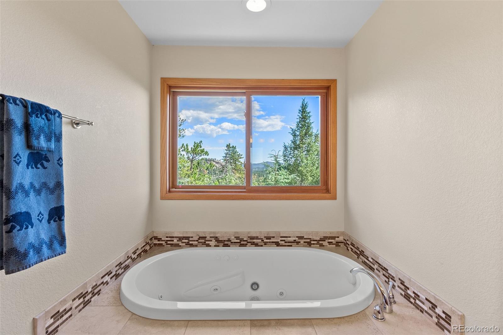 MLS Image #25 for 5378  evergreen heights drive,evergreen, Colorado