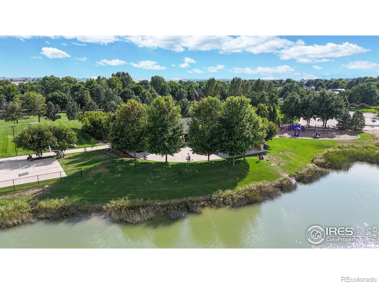 MLS Image #42 for 229 e 4th street,berthoud, Colorado
