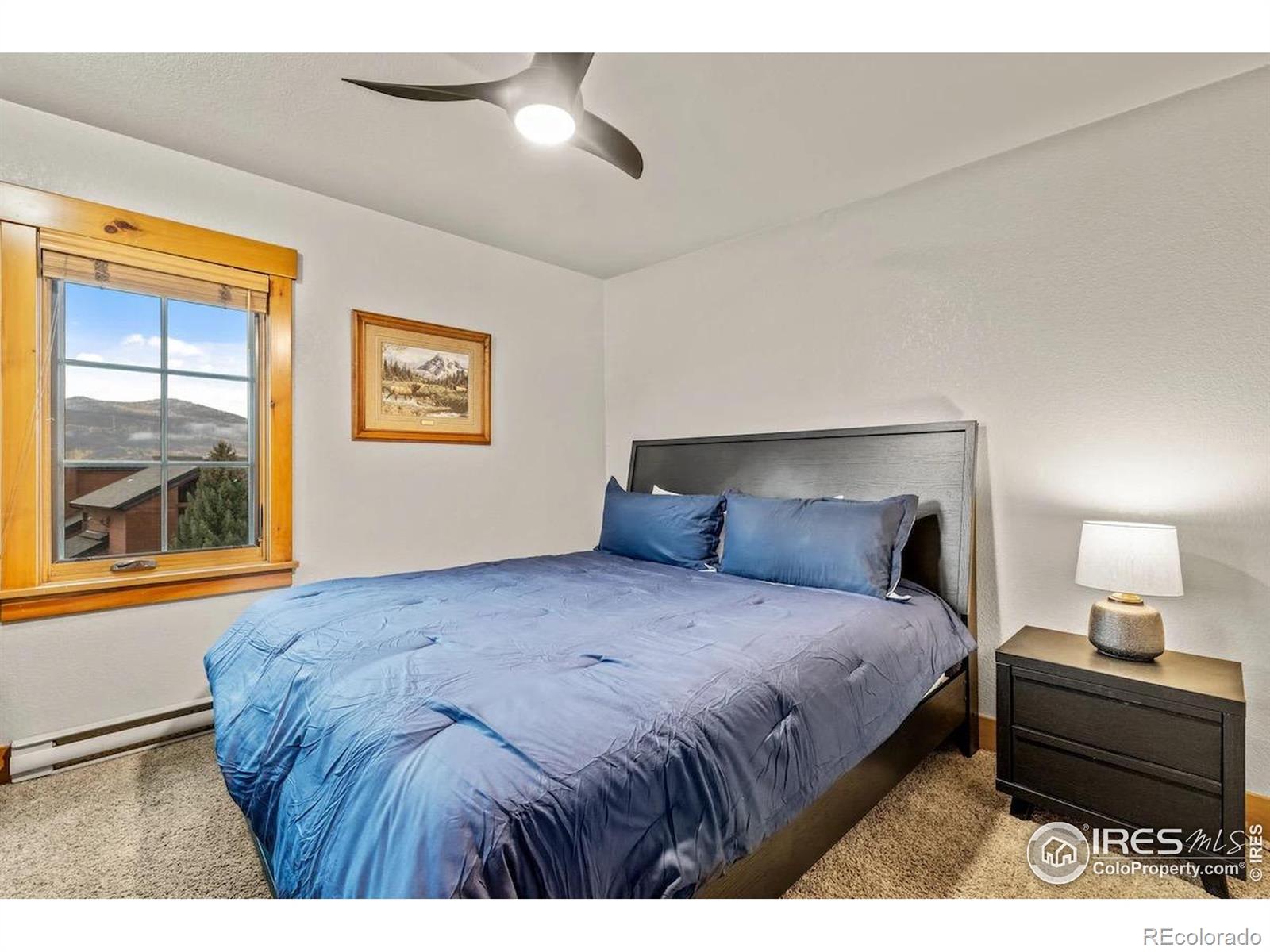 MLS Image #8 for 2955  columbine drive,steamboat springs, Colorado