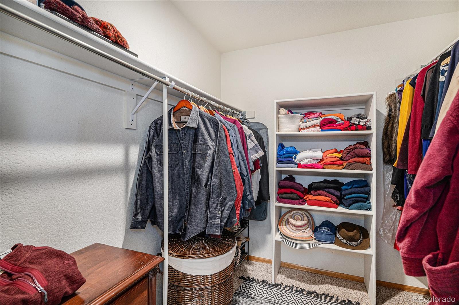 MLS Image #19 for 10626  clarkeville way,parker, Colorado