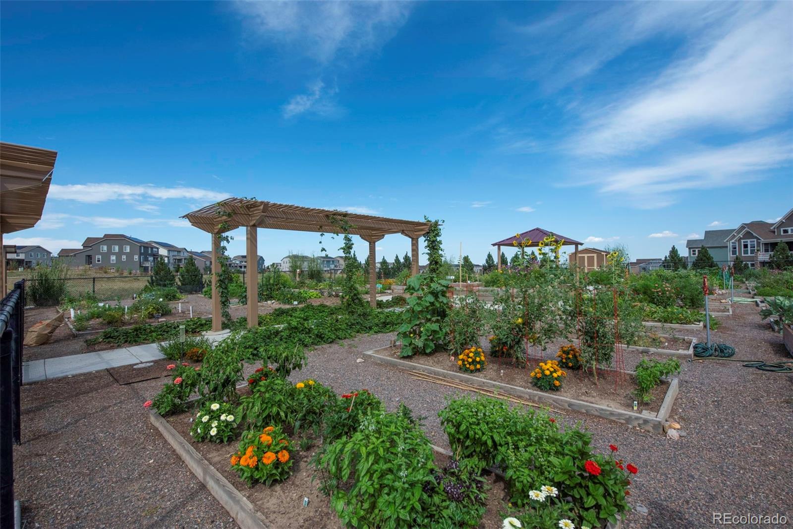 MLS Image #38 for 16486 w 94th drive,arvada, Colorado