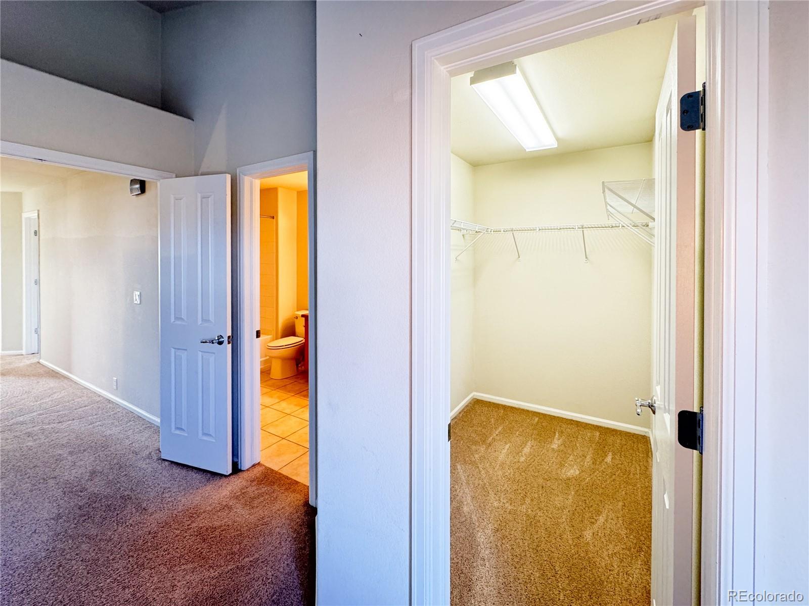 MLS Image #28 for 7077  red sand grove ,colorado springs, Colorado