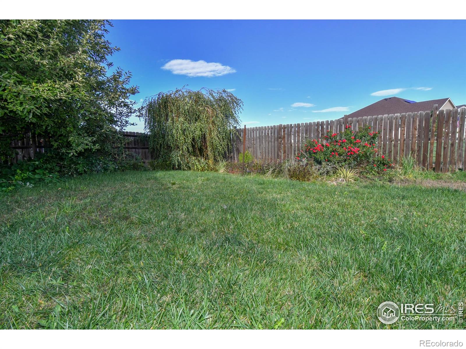 MLS Image #37 for 200  hawthorn street,frederick, Colorado